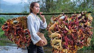 Harvesting CRAB, Harvesting GOLDEN SNAIL...Goes To The Market Sell | Phương Farm Life
