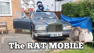 The RAT MOBILE