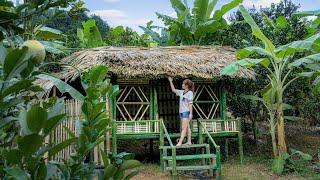 20 years old girl, Building a new life | Complete handmade bamboo house.