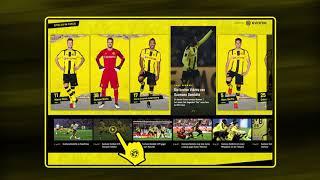 Андрей Самойлов SportRadar BVB total pitch