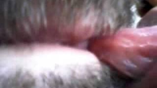 virgin lesbian licking hairy pussy