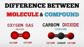DIFFERENCE BETWEEN A MOLECULE & A COMPOUND - [ AboodyTV ] - Chemistry