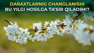 DARAXTLARNIG CHANGLANISHI