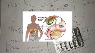 Урсосан застой желчи и как улучшить отток и улучшить работу печени