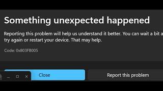 Fix Microsoft Store Error Code 0x803FB005 Something Unexpected Happened On Windows 11/10