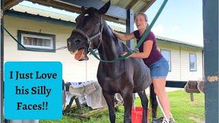 Atlas Horse Massage: Tall, Dark, and Handsome! Part 2