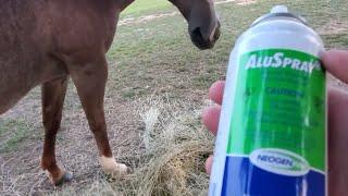 Peroxide and Liquid Band Aide