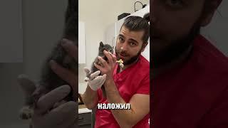 УДИВИТЕЛЬНОЕ СПАСЕНИЕ КОТЁНКА КОТОРОГО СБИЛИ