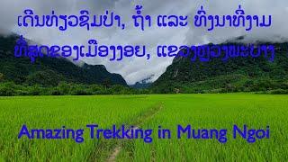 Trekking to Tham Kang Cave and Ban Na within Beautiful Rice Paddy Fields in Muang Ngoi, Laos.