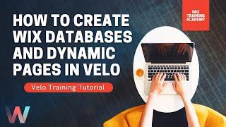 How To Create Wix Databases and Dynamic Pages in Velo | Wix.com Tutorial