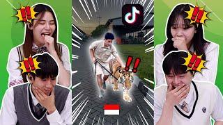 Siswa Korea Shock Nonton ALSHAD AHMAD Pelihara Harimau di Indonesia  | Reaction Tiktok Indonesia