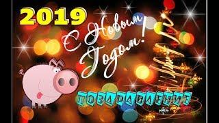 Поздравление С новым 2019 ГОДОМ СВИНЬИ!