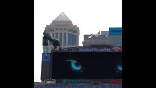 Carolina panthers debut their mixed reality panther