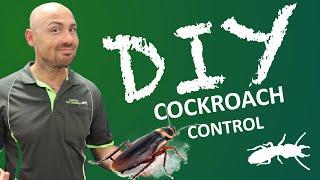 What are the different cockroaches in Australia? (DIY Pest Control)