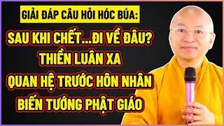 TT. Thích Nhật Từ trả lời CÂU HỎI HÓC BÚA về SAU KHI CHẾT CON NGƯỜI SẼ ĐI VỀ ĐÂU? LUẬT NHÂN QUẢ