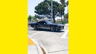 1967 SHELBY GT500 #shorts