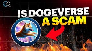 IS DOGEVERSE A SCAM?