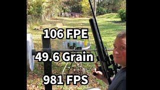 AEA Challenger Pro Shooting 49.6 Grain.  3000 PSI Max Fil /200Bar