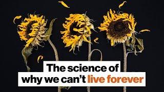 The science of why we die | Michael Shermer | Big Think