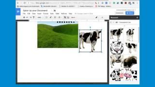 Google Docs - Adding Transparent Photos