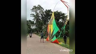 ලොකුම මොනර සරුංගලය | monara  sarungal  | #kites | #kite | #sarungan | sarungal hadamu | kite