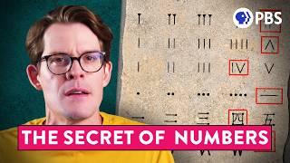 The Real (Weird) Way We See Numbers