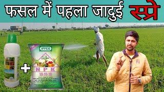 iffco nano urea + npk 19 19 19 ।। npk fertilizer । 19 19 19  । nano fertilizer ।