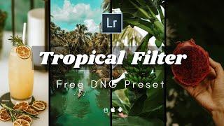 Tropical filter - Lightroom Mobile Preset | Tropical Presets | Beach Filter | Bali Preset Filter