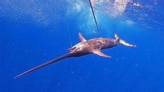 3 Days OVERNIGHT 150+ Miles Offshore 14 SWORDFISH, GROUPER & More! || Gulf of Mexico || CC&C!