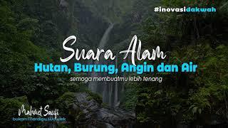 suara alam terbaik bikin kamu tenang | hutan, burung, angin dan air