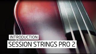 Session Strings Pro 2 Introduction
