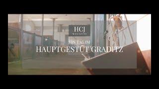 Hauptgestüt Graditz - Alltag mit Stuten & Hengsten