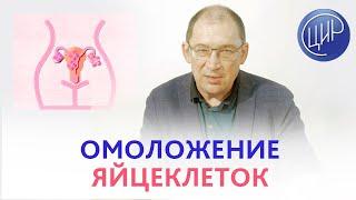 Омоложение яйцеклеток. Наука и практика. И.И. Гузов.