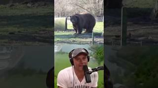 Joe Rogan's Jaw-Dropping Reaction to a Short Faced Bear! 