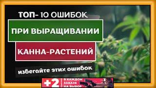 Топ-10 ошибок при выращивании растений!Избегайте этих ошибок при выращивании Каннабиса.