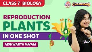 Reproduction in Plants Class 7 Science Chapter 12 in One Shot | BYJU'S - Class 7