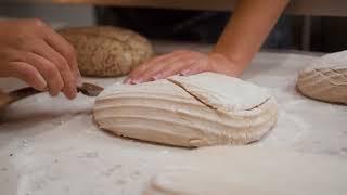 Artisan Sourdough Bakery in Mesa, Arizona