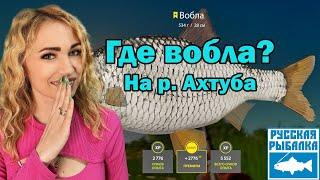 Где найти Воблу на реке Ахтуба??  / Русская Рыбалка 4/ РР4