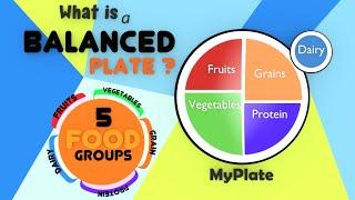 The Food Pyramid for Kids | Balanced Diet | Food Groups And Nutrition | Healthy Plate for Kids