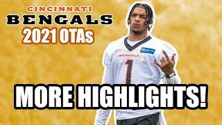 Bengals OTAs Highlights | Clips of Joe Burrow, Ja'Marr Chase and More!