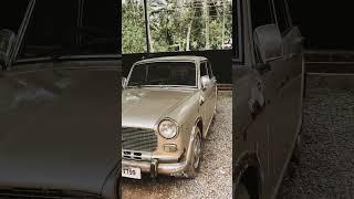 Fiat Padmini full restoration Part - 1