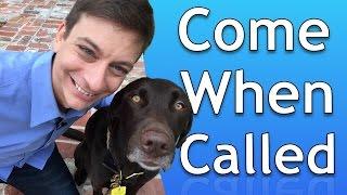 How to Train your Dog to Come When Called