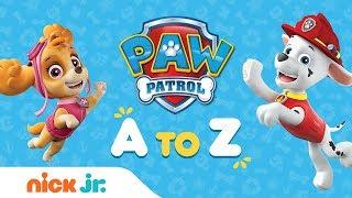 PAW Patrol from A to Z Learn to Read the Alphabet w/ the Pups | PAW Patrol | Nick Jr.