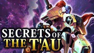 The Tau Empire: The Most DANGEROUS Threat to The Imperium? | Warhammer 40K Lore