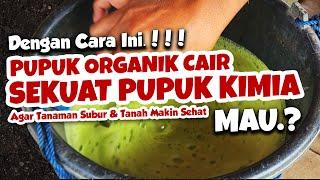 DENGAN CARA INI, PUPUK ORGANIK CAIR BISA SEKUAT PUPUK KIMIA. MAU.?? | Tanaman Subur & Tanah Sehat