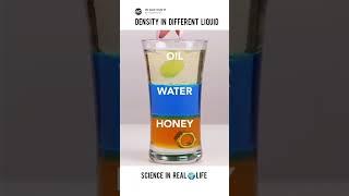 Density in Different Liquid | Science in Real  Life Experiment #science #expriment