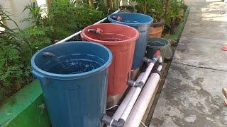 DIY : How to build simple RAS system for catfish ponds using bucket || Aquaponic system (Part 1)