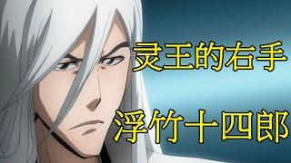 【死神Bleach】浮竹十四郎——尸魂界最为温柔的男人 | 灵王的右手 | 用生命诠释护庭的真谛