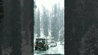 Heavy Snowfall, Himachal #kashmir #gulmarg #shorts #pahadvalley #shimla #spiti #kullu #kangra