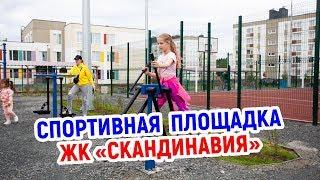 Новая спортивная площадка с тренажёрами появилась в Петрозаводске